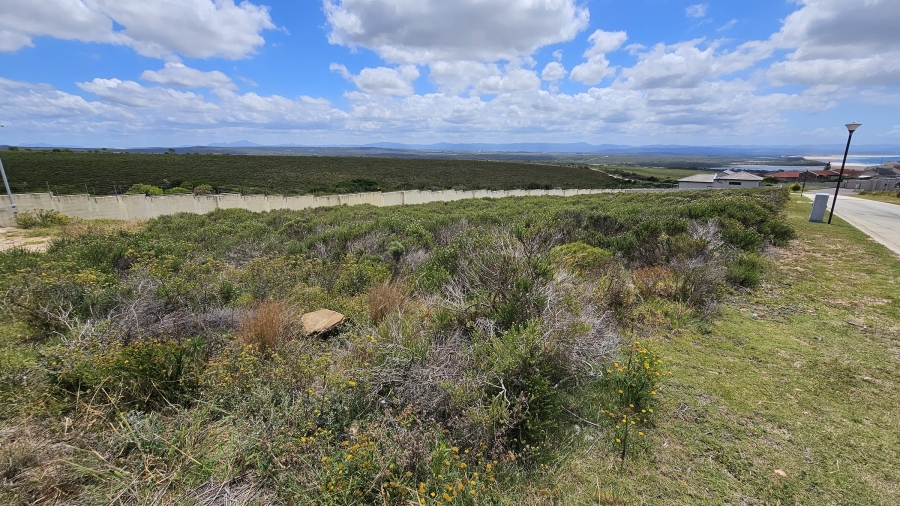0 Bedroom Property for Sale in Blue Waters Estate Eastern Cape